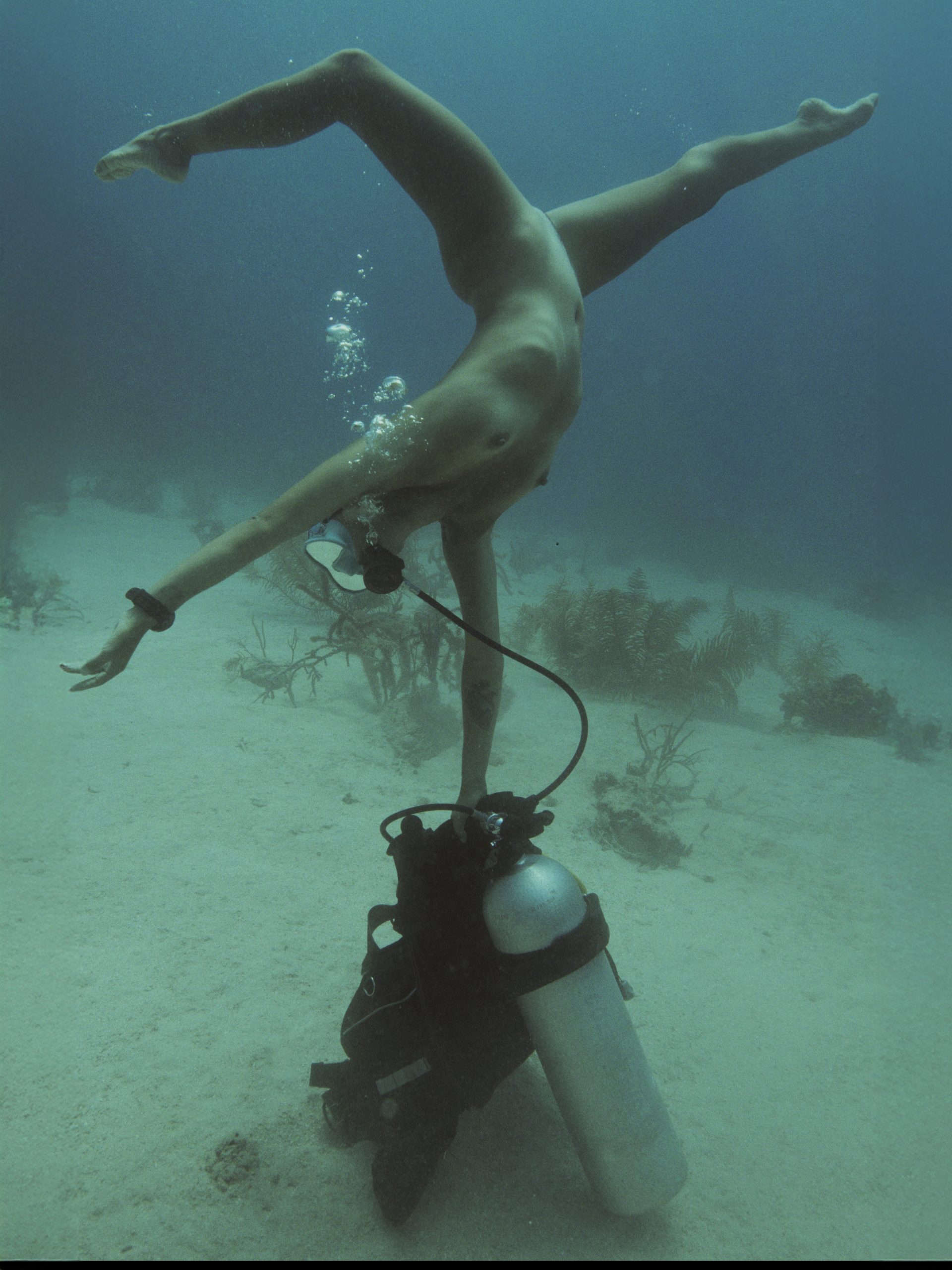 THE REEF